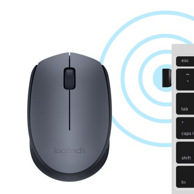 6. Logitech M170 Maus 910-004642 (optisch; 1000 DPI; grau; )