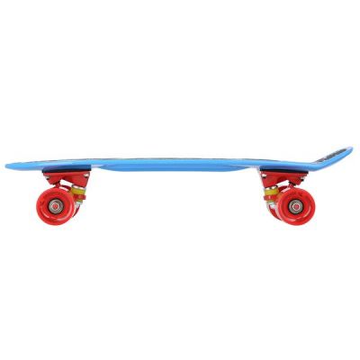 19. Pennyboard Nils Extreme Crude Dragon Skateboards