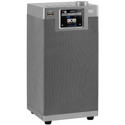 2. Imperial DABMAN i610 DAB+/FM-Radio, grau