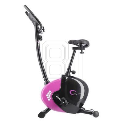 34. Lila Magnetfahrrad HMS M9239V 