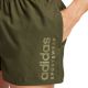 12. adidas Essentials Logo Badeshorts M IX7566
