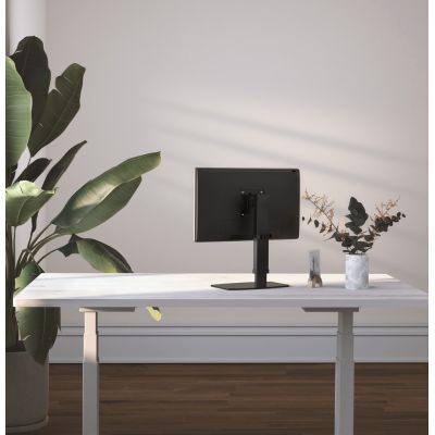 11. GEMBIRD Höhenverstellbarer Monitorständer 17"-32", bis zu 8 kg