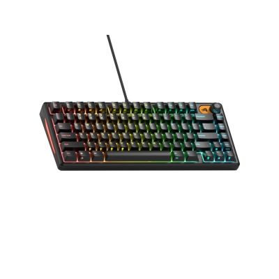 Glorious Gaming GMBK 75% USB QWERTY US Englisch Tastatur Schwarz