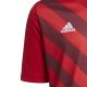 13. adidas Entrada 22 Graphic Jersey Jr H58983