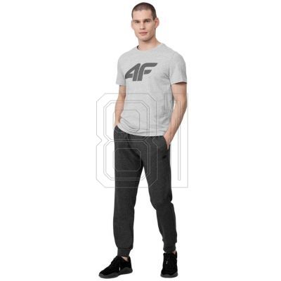 4. T-Shirt 4F M H4Z22 TSM353 27M