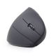 3. GEMBIRD MUSW-ERGO-01 Maus (optisch; 1600 DPI; schwarz)