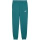 2. Puma Ess 2 Color No. 1 Logo Herrenhose Grün 684714 41