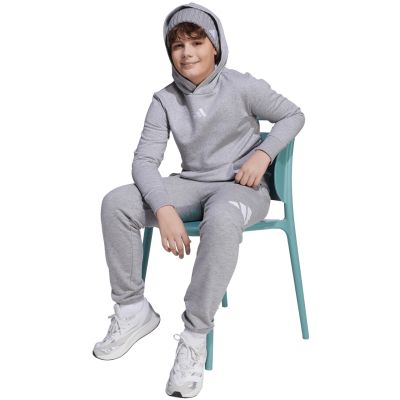 8. adidas Essentials Hoodie für Kinder, grau, JV9995