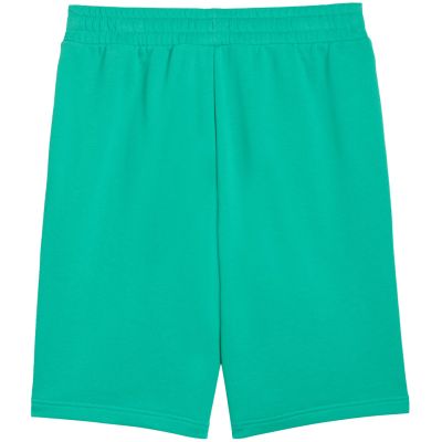 3. Puma ESS No.1 Logo 10" Herrenshorts (s) Grün 682595 40