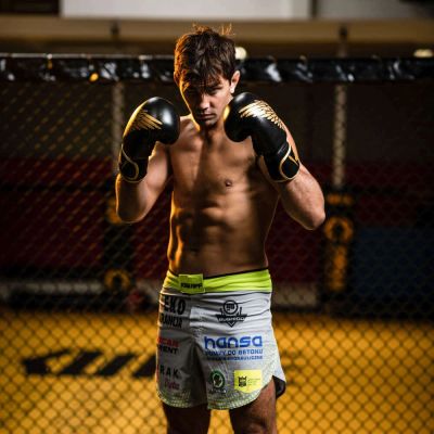 28. 8oz Boxhandschuhe - Hawk - Origin Series