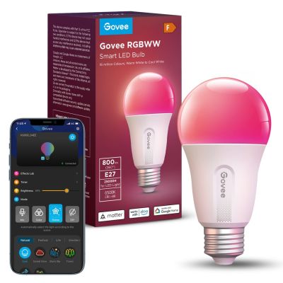 3. Govee Smart RGB-Lampe 800 lm, Wi-Fi + Bluetooth H6004CC1