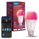 3. Govee Smart RGB-Lampe 800 lm, Wi-Fi + Bluetooth H6004CC1