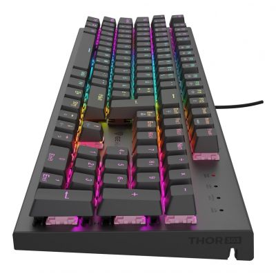 2. GENESIS NKG-2179 Gaming Tastatur USB QWERTZ Deutsch Schwarz