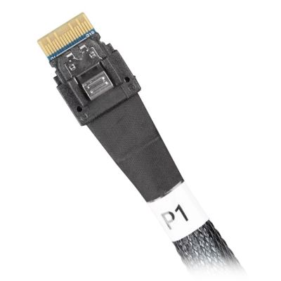 3. IcyDock MCIO 8i SFF-TA-1016 Kabel auf 2x SlimSAS 4i 0,5 Meter