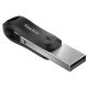 2. SANDISK iXpand Flash-Laufwerk GO 64 GB
