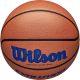 4. WILSON EVOLUTION 295 Spielbasketball Größe 7
