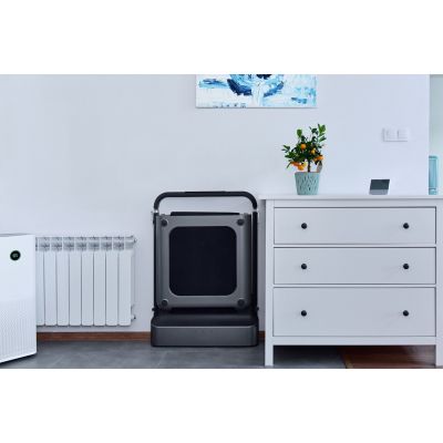 57. Kingsmith WalkingPad TRR1F R1 Sport-Laufband