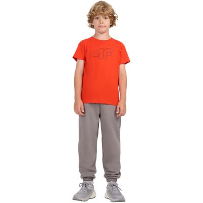 8. T-Shirt 4F Jr 4FJWAW25TTSHM2417 62S
