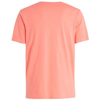3. Herren-T-Shirt Protest PRTAHAIRD