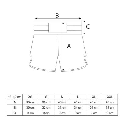 16. TOP TEN KicksOff Kickbox-Shorts (WAKO-ZERTIFIZIERT)