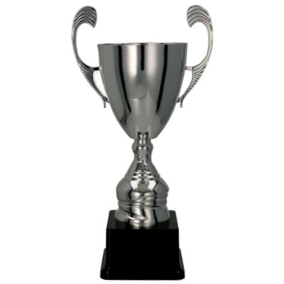 4. CUP 4105C