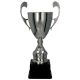 4. CUP 4105C