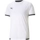 3. Puma TeamLiga Trikot M 704917 04