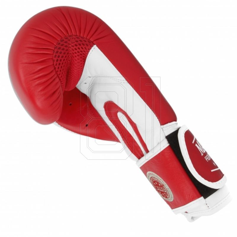 6. MASTERS RBT-TRW 01210-02 Leder-Boxhandschuhe