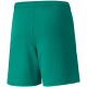 4. Puma teamLIGA Shorts Jr 704931 05