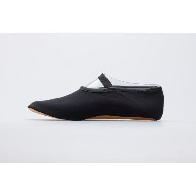 4. IWA 250 Ballettschuhe 