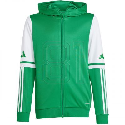 Adidas Squadra 25 Hoody Jr JP3163 Sweatshirt