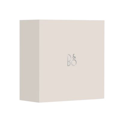 Bang & Olufsen BeoSound A1 Stereo-Lautsprecher der 3. Generation, tragbar, 60 W, Grün