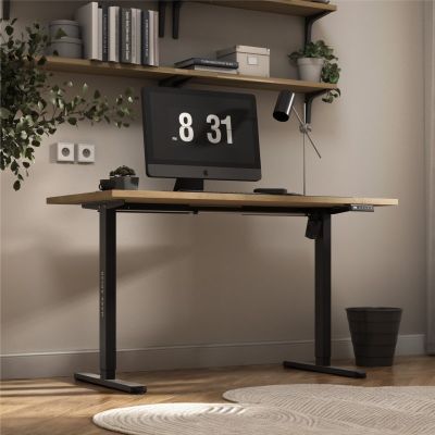 4. Xeno 2.1 Elektrorahmen