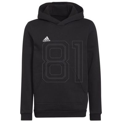 Adidas Entrada 22 Hoody Jr Sweatshirt H57516