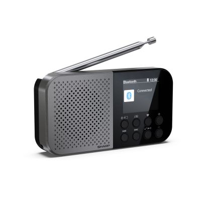 3. Sharp DR-P520 Personal Digital Grau