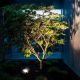 10. MACLEAN Solar-LED-Flutlicht mit Sensor MCE438