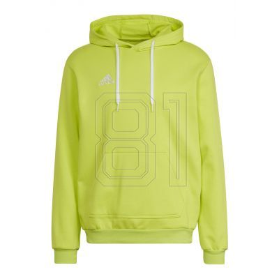 Adidas Entrada 22 M Sweatshirt HC5083