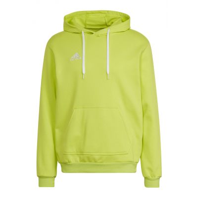 Adidas Entrada 22 M Sweatshirt HC5083