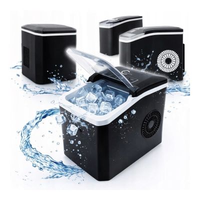 2. Q77A CARRUZZO Eiswürfelbereiter