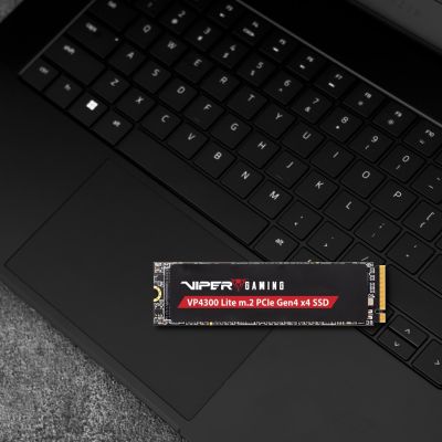 17. Patriot Viper VP4300L M.2 PCI-Ex4 NVMe 1TB SSD