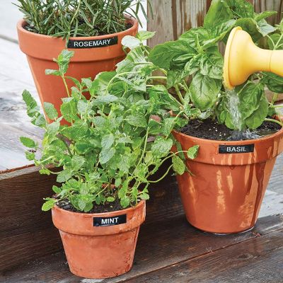 11. DYMO LabelManager 160 6/9/12 mm D1 Azerty-Band