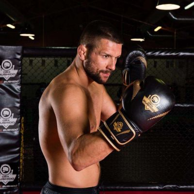 14. 10oz Boxhandschuhe - Aureos - Valor Series