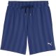Puma Class 8 Herrenshorts Blau 692355 49