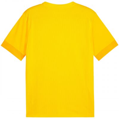2. Puma teamGoal Spieltagstrikot M 705747 07