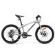Rockbros Fahrradmodell DARWIN I 20 Zoll