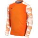 8. Nike Dry Park IV JSY LS GK Jr CJ6072-819
