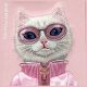 7. Nimmy Cool&Cute 2.0 Cat Case für iPhone 16 Pro - Rosa