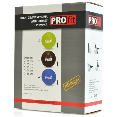 2. PROfit 85cm blauer Gymnastikball mit Pumpe DK2102