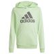 4. Adidas Big Logo Hoodie Jr IS2591 Sweatshirt