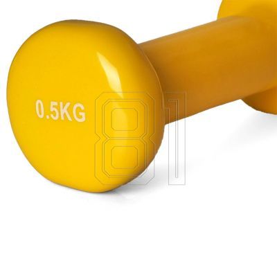 6. Vinyl dumbbell PROfit 0.5kg DK 4102